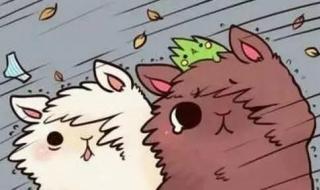 台风消息最新预报 台风消息最新预报